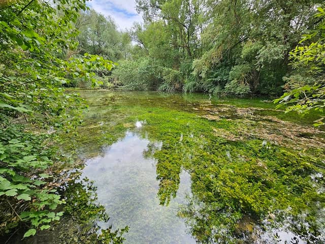 Salzaquelle - Image 1