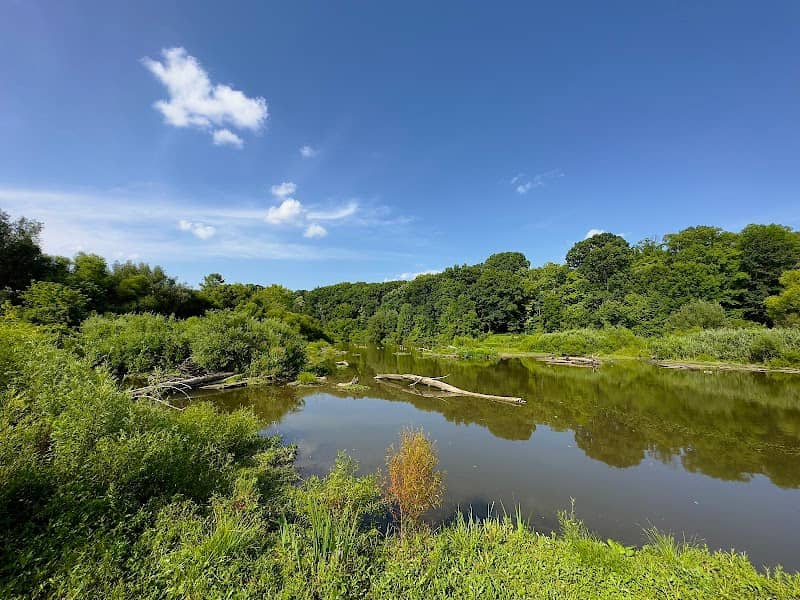 Newport Wetlands - Image 1