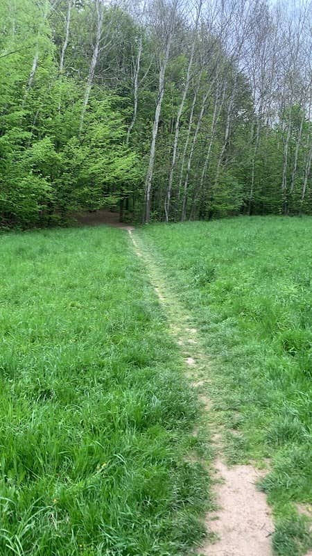Lubina river park - Image 2