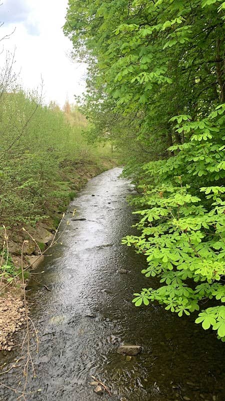 Lubina river park - Image 1