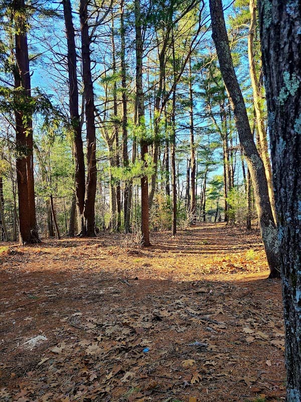 Friends of Boyden Refuge - Image 3