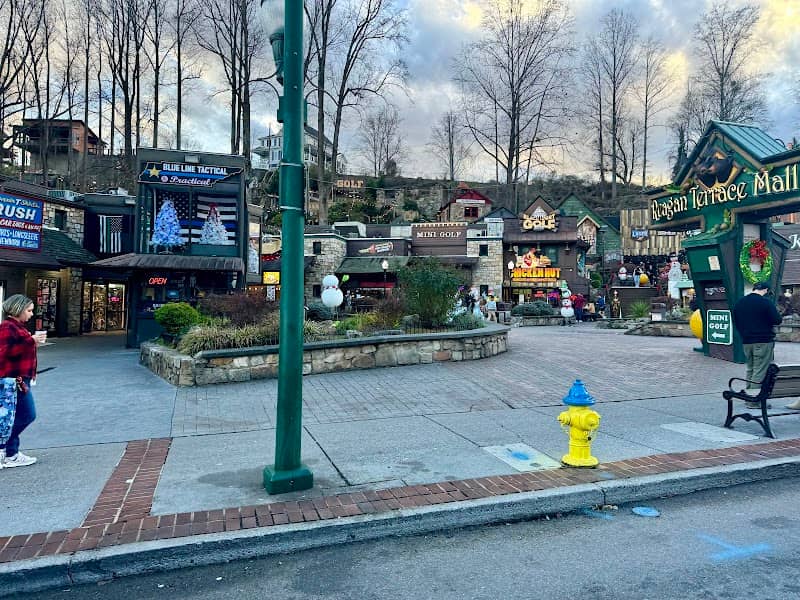 Gatlinburg Attractions Association - Image 2