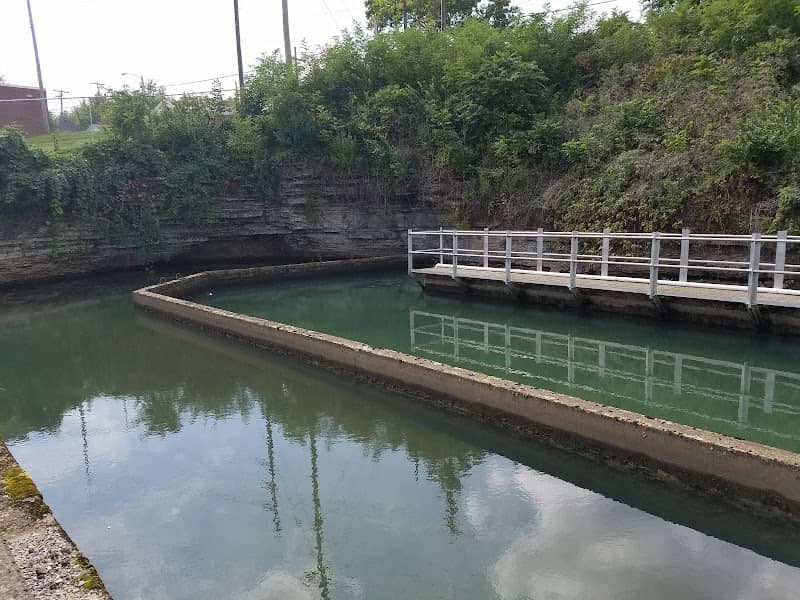 Royal Spring Park - Image 2