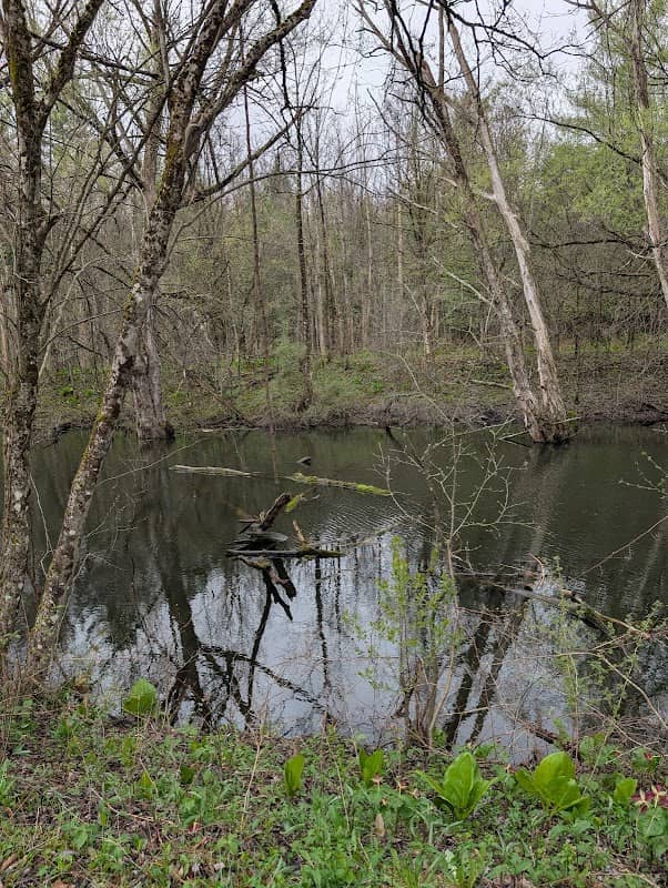 Oriskany Flats Wildlife Management Area - Image 1