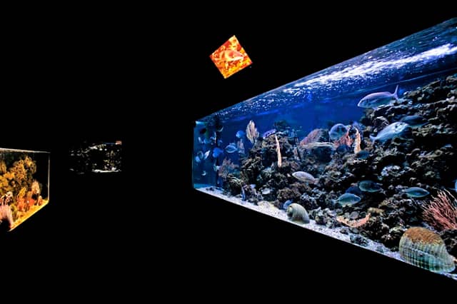 Argentario Aquarium - Image 1
