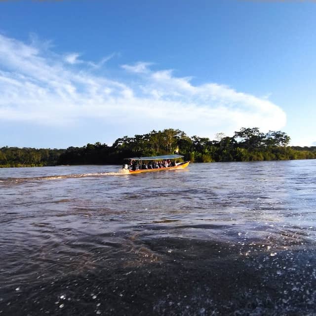 Misahualli - Image 3