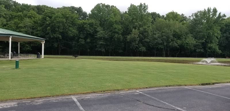 Buckhead Creek Recreation - Image 2