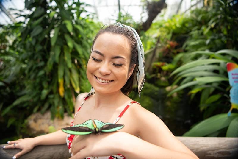 Australian Butterfly Sanctuary - Image 1