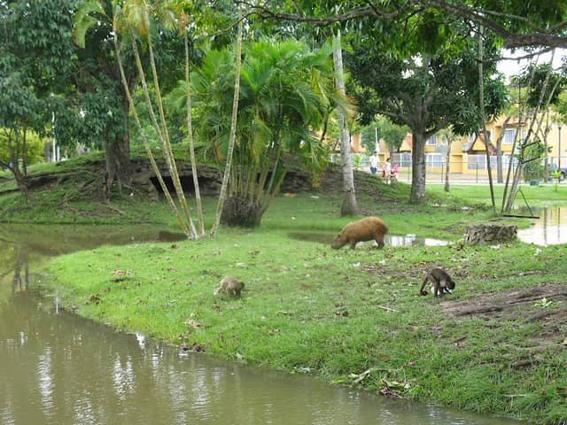 La Guaricha Zoo - Image 1