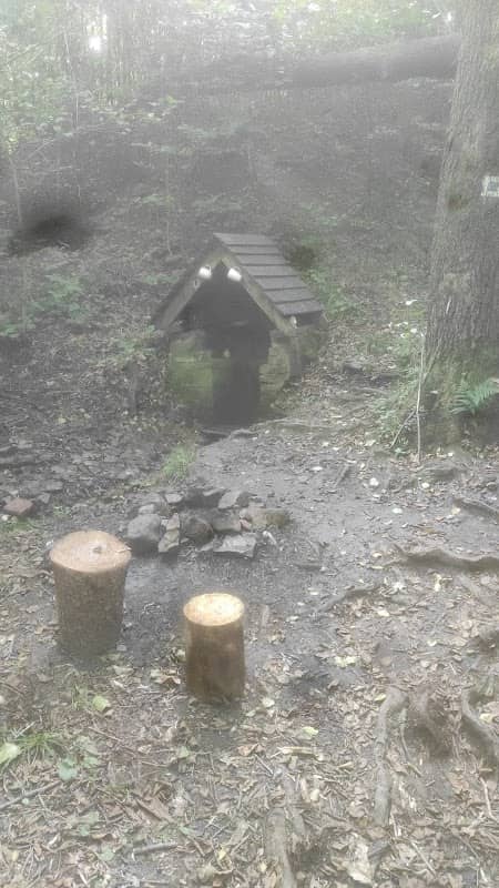Studánka beze jména - Image 1