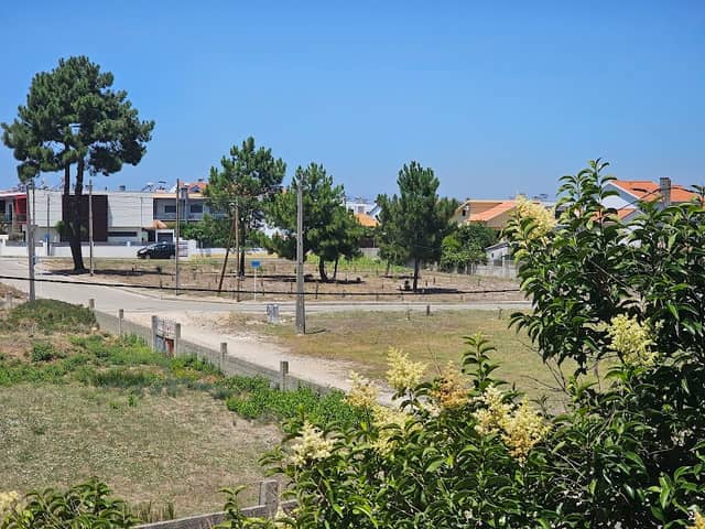 Bosque dos Esquilos - Image 1