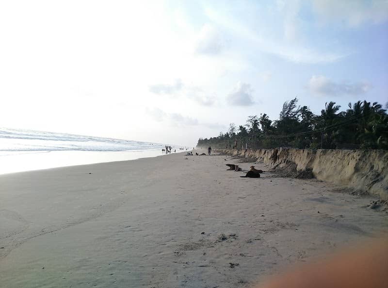 Crocodile Island - Image 1