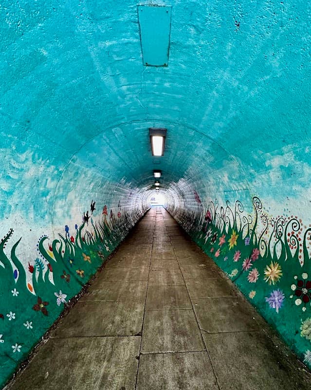Alice in Wonderland tunnel - Image 1