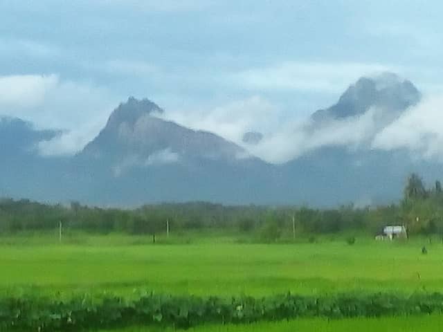 Kottekkad Paddy View Point - Image 1