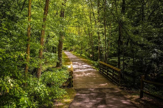 Ed Yerha Park - Image 1