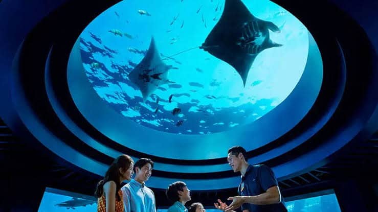 Parañaque Ocean Park - Image 1