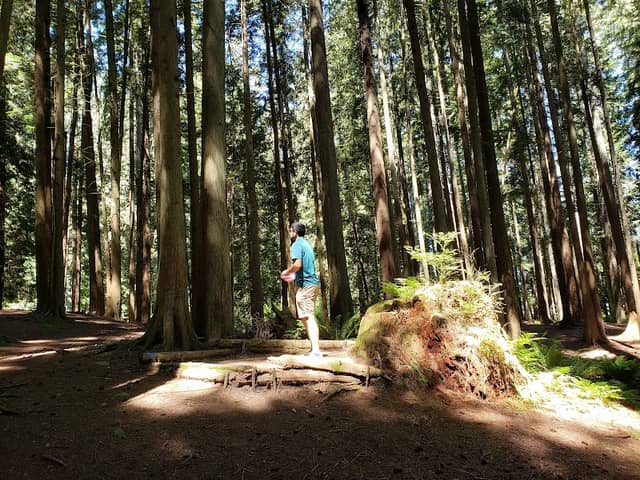 Catherine Creek Park - Image 1