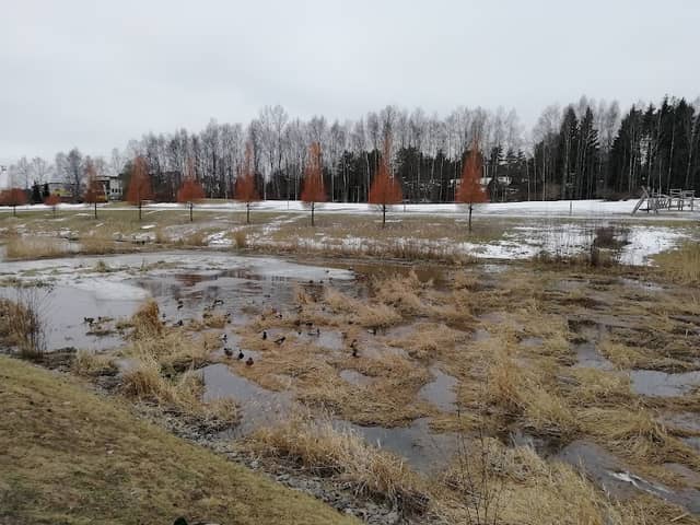 Svampparken - Image 1