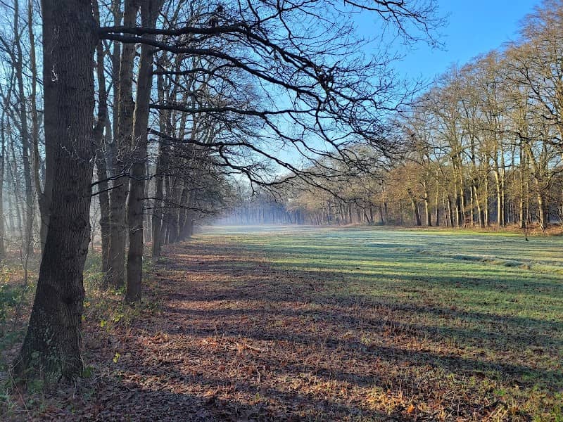 NSW Landgoed La Forêt - Image 1