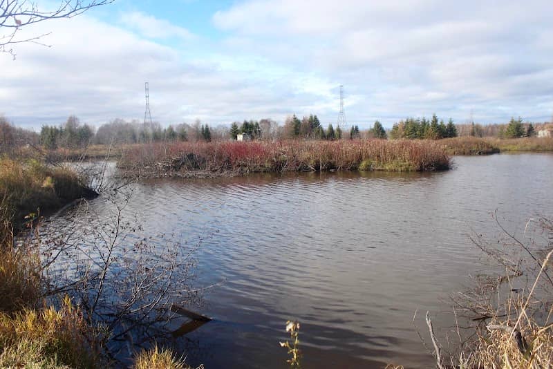 Mission Marsh Conservation Area - Image 3