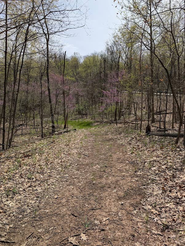 Seneca Lake - Buckeye Junction Trailhead - Image 1