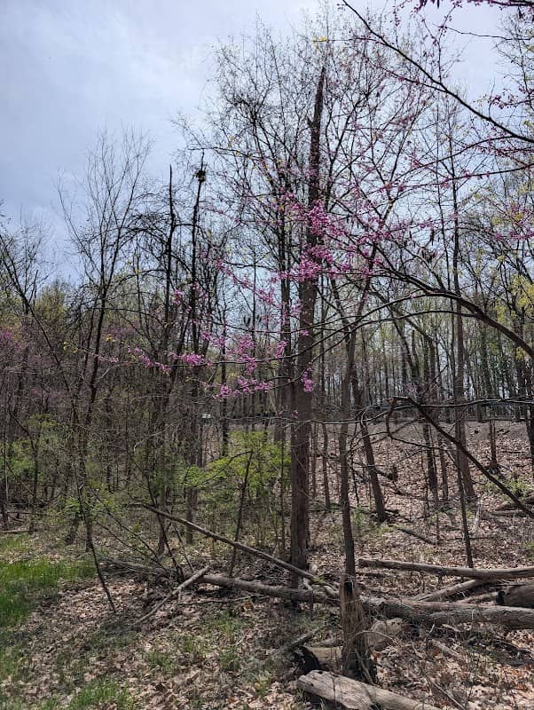 Seneca Lake - Buckeye Junction Trailhead - Image 2