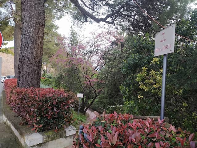 Parco del Cerreto - Image 1