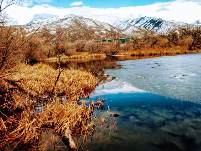 Glasmann Pond - Image 2