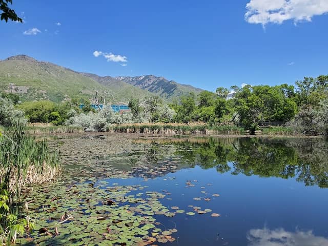 Glasmann Pond - Image 1