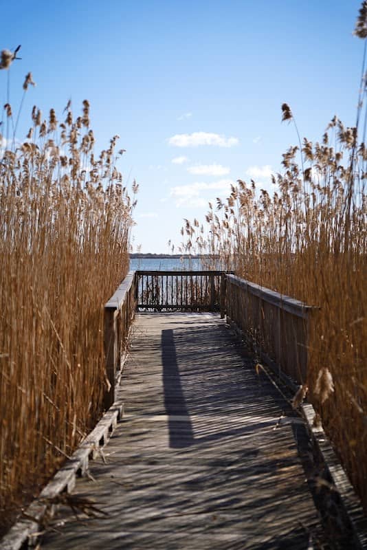 Pawaget Park - Image 1