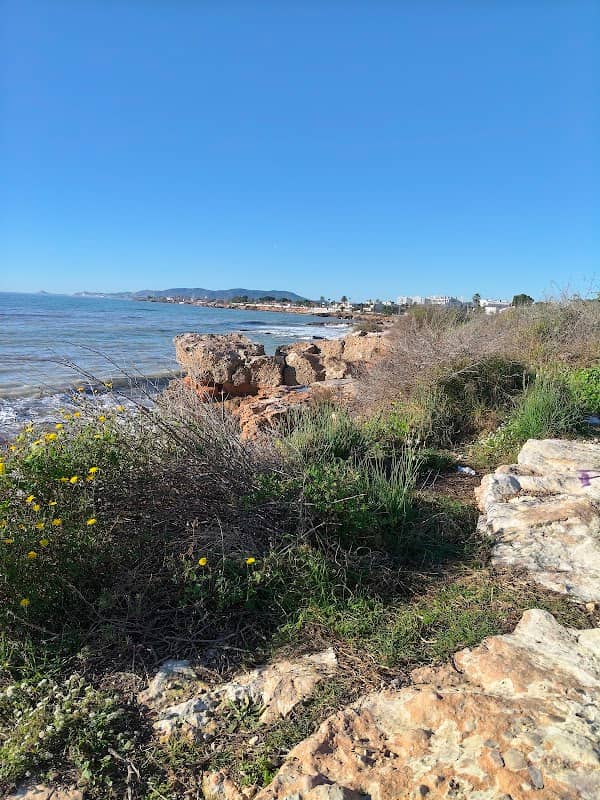 Mirador - Image 2