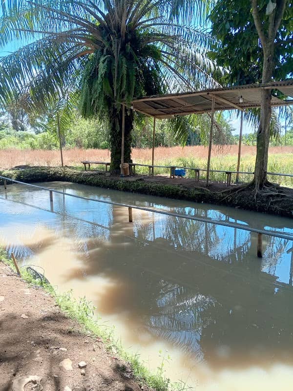 KOLAM PANCING BERKAH - Image 1