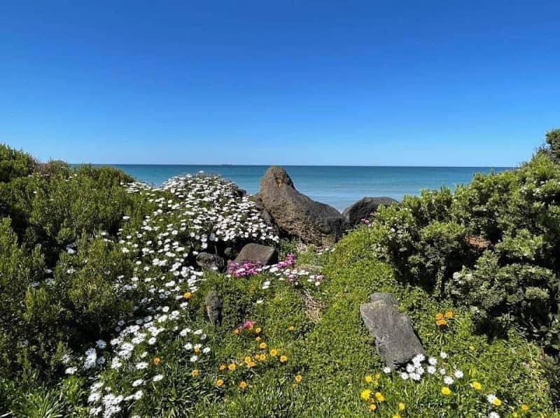 Golia Beach - Image 1