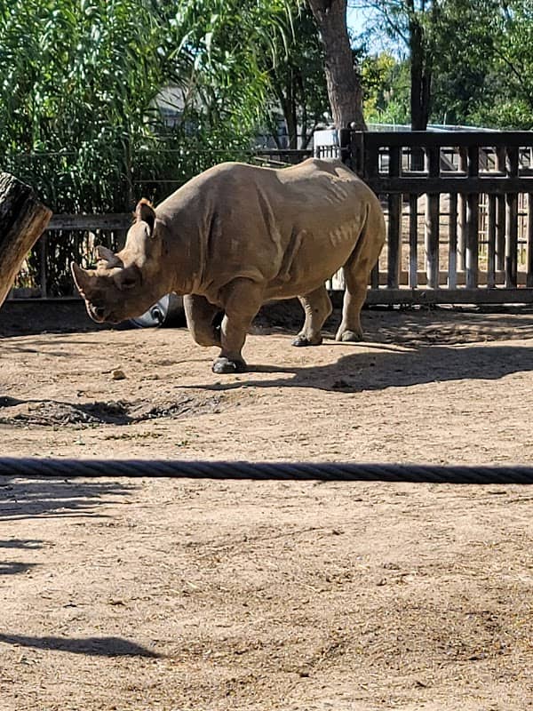 Lee Richardson Zoo - Image 3