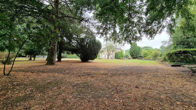 Richmond park - Image 1