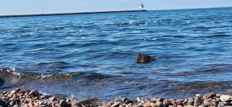 Two Harbors Depot-Duluth Harbor Cam - Image 3