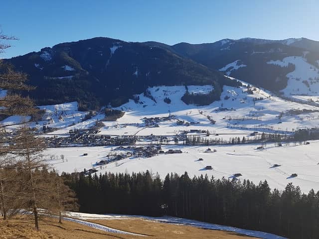 Müllerfuchs - Image 1
