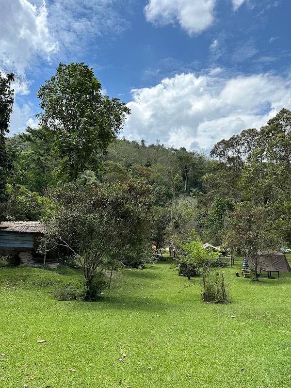 Renal Park Camp Site - Image 1