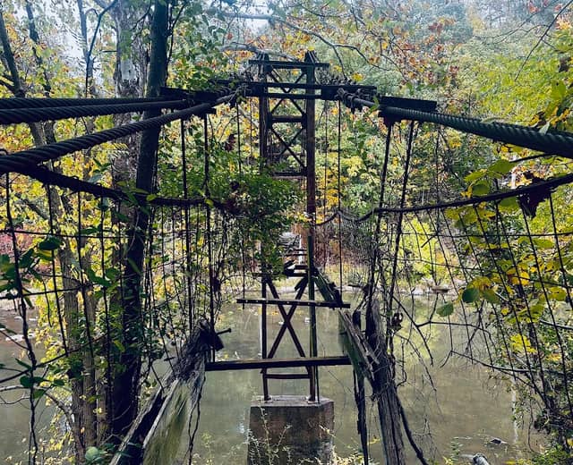 Clyde No. 3 Mine Swinging Bridge - Image 1
