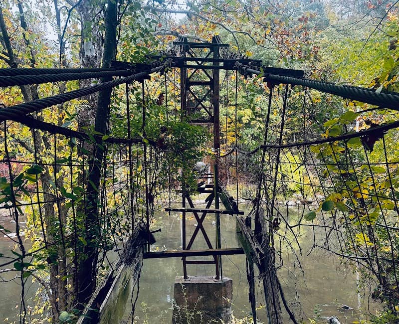 Clyde No. 3 Mine Swinging Bridge - Image 1