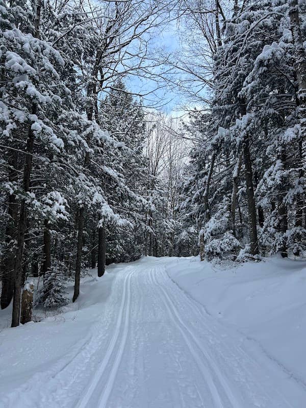 Pineridge Cross Country Ski Area - Image 1