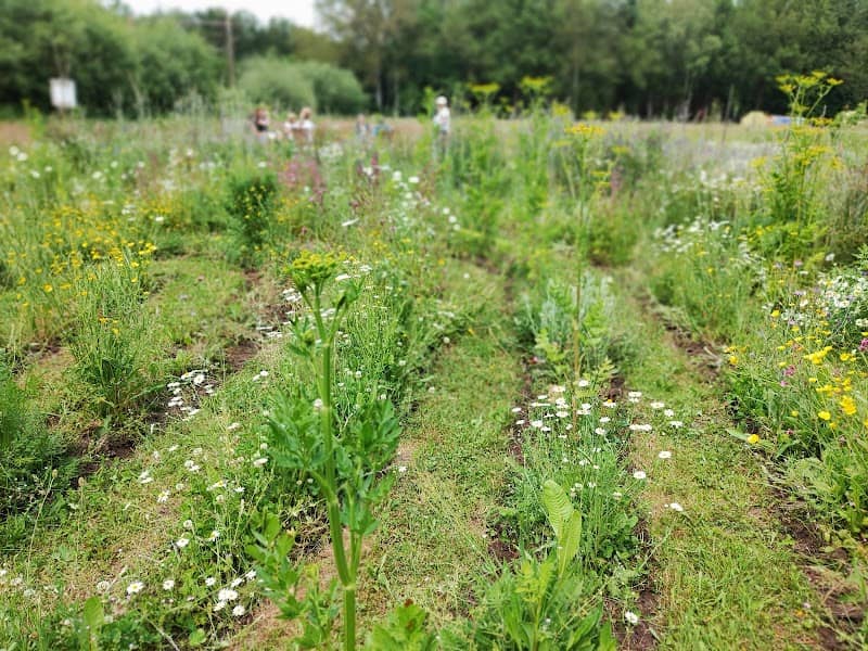 Tuinderij de Veldhof - Image 2