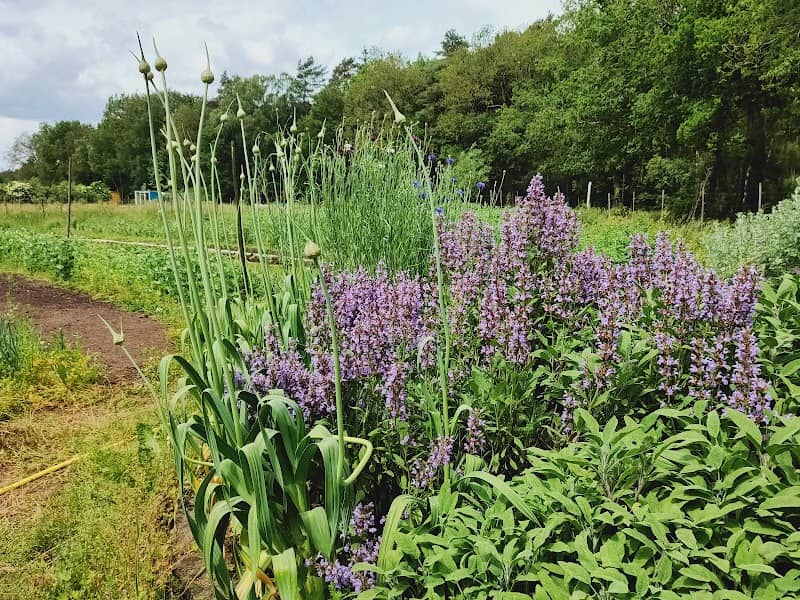 Tuinderij de Veldhof - Image 1
