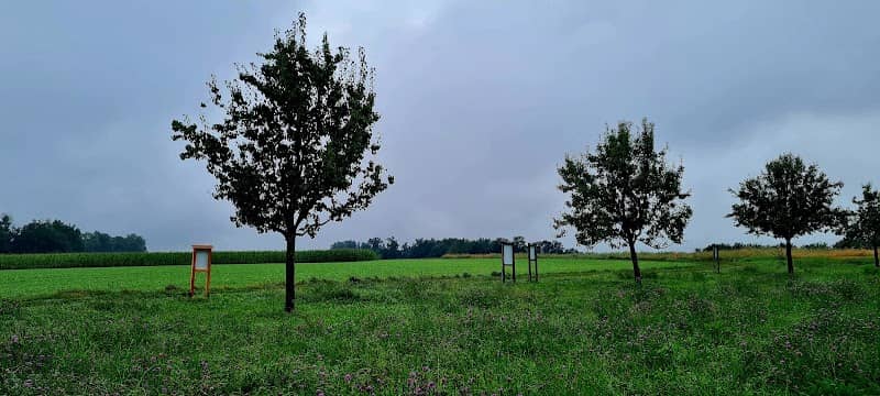 Bienenlehrpfad des Imkervereins Anzing-Poing - Image 1