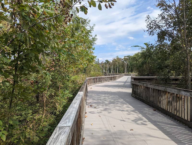 White Oak Greenway Wetlands - Image 2