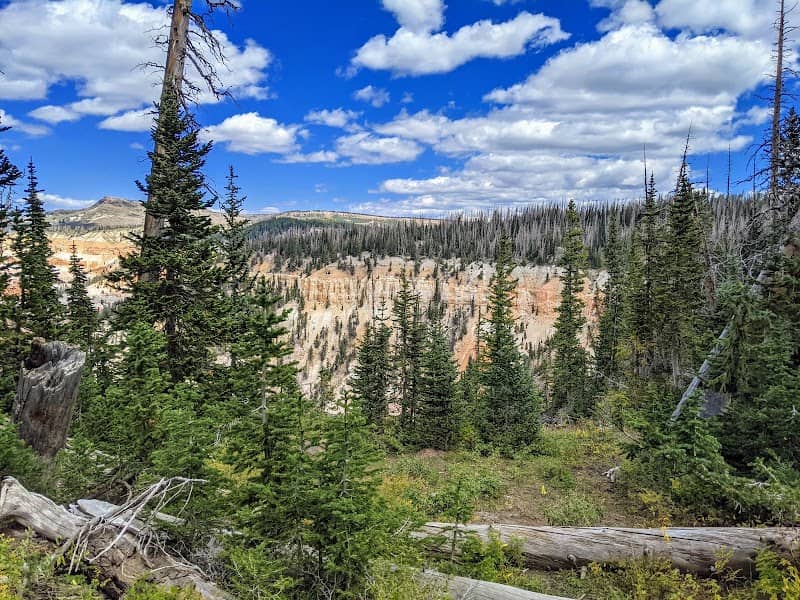 Alpine Pond Loop Trail - Image 2