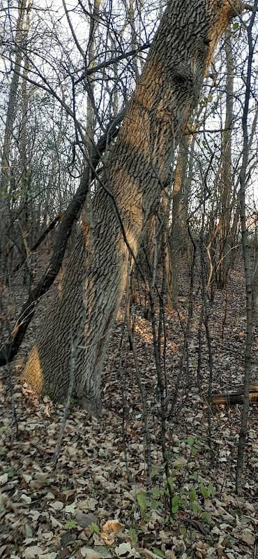 Carpenter Preserve - Image 2