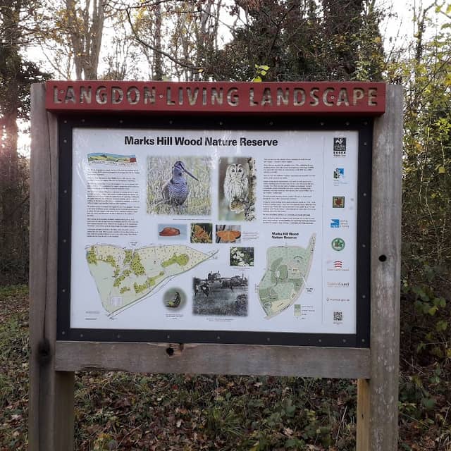 Marks Hill - Image 2