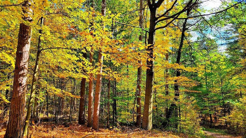 Durham Regional Forest - Image 1