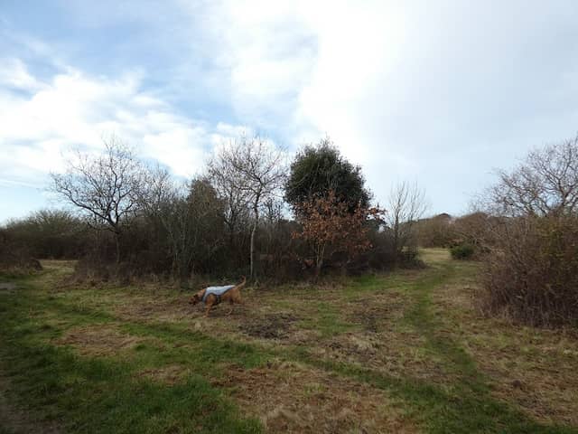 Seafield Park - Image 1